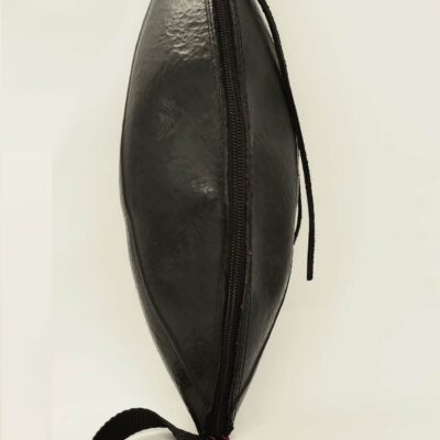 Radis noir